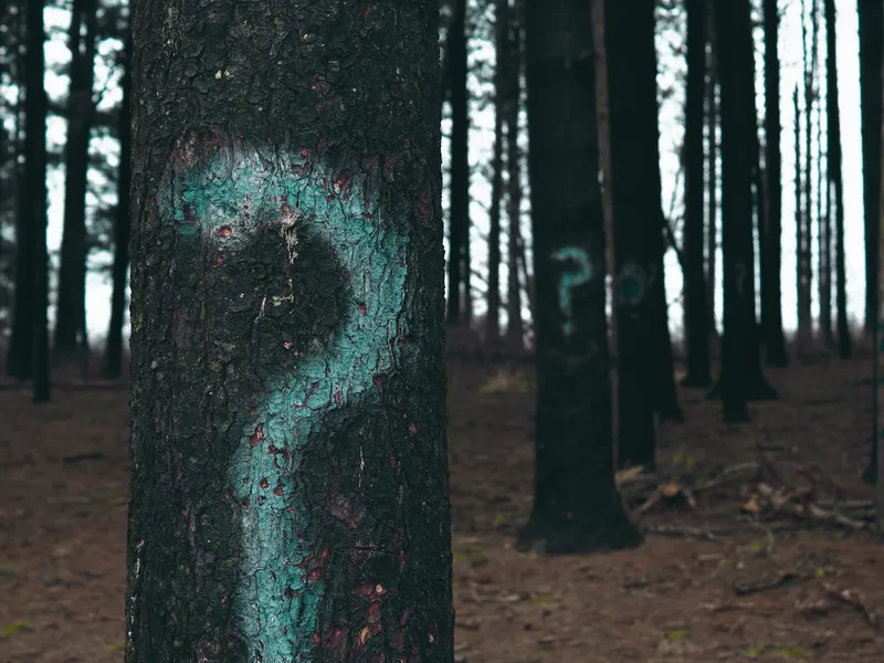 Featured image for It Might Not Matter "Why" We Are Anxious