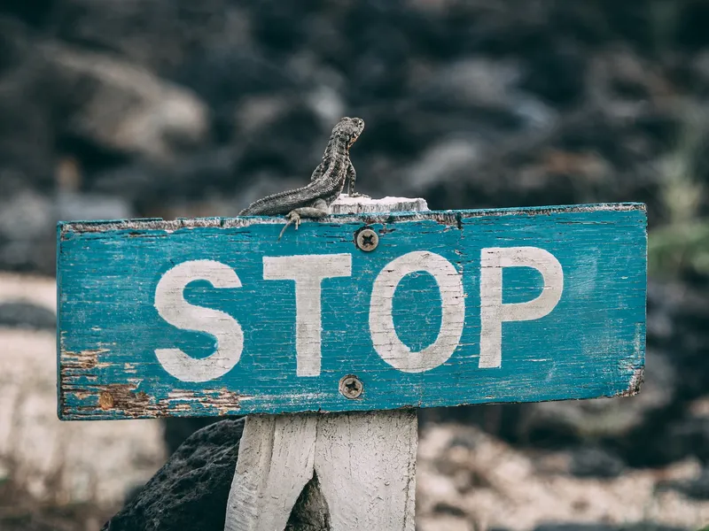 Featured image for Doing Things is Overrated... So Stop (A Bit)
