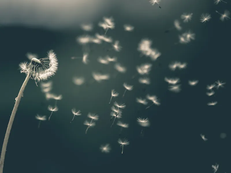Featured image for Can Jealousy Be Good? Finding Perspective on Others’ Successes